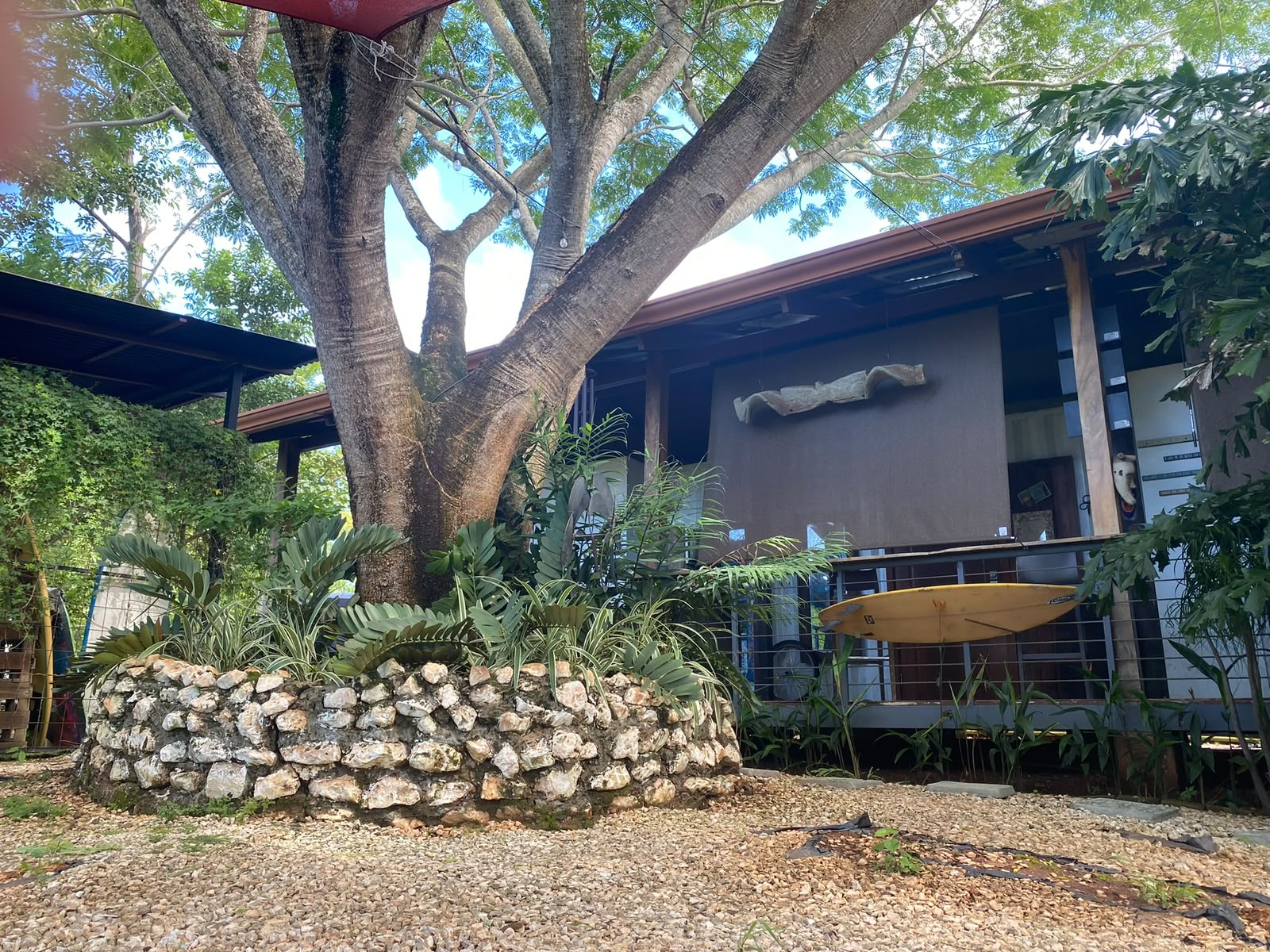 Arquitectura tropical